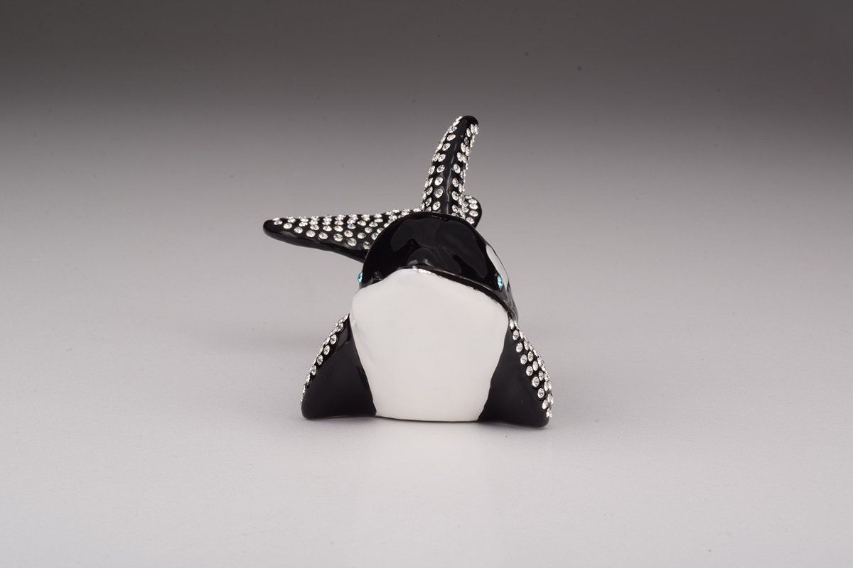 Orca Whale-2